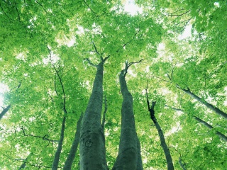 画像(320x240)・拡大画像(640x480)