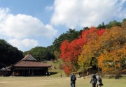 画像(180x125)・拡大画像(472x328)