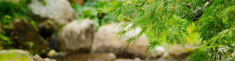 メールマガジン バックナンバー